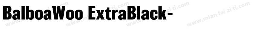 BalboaWoo ExtraBlack字体转换